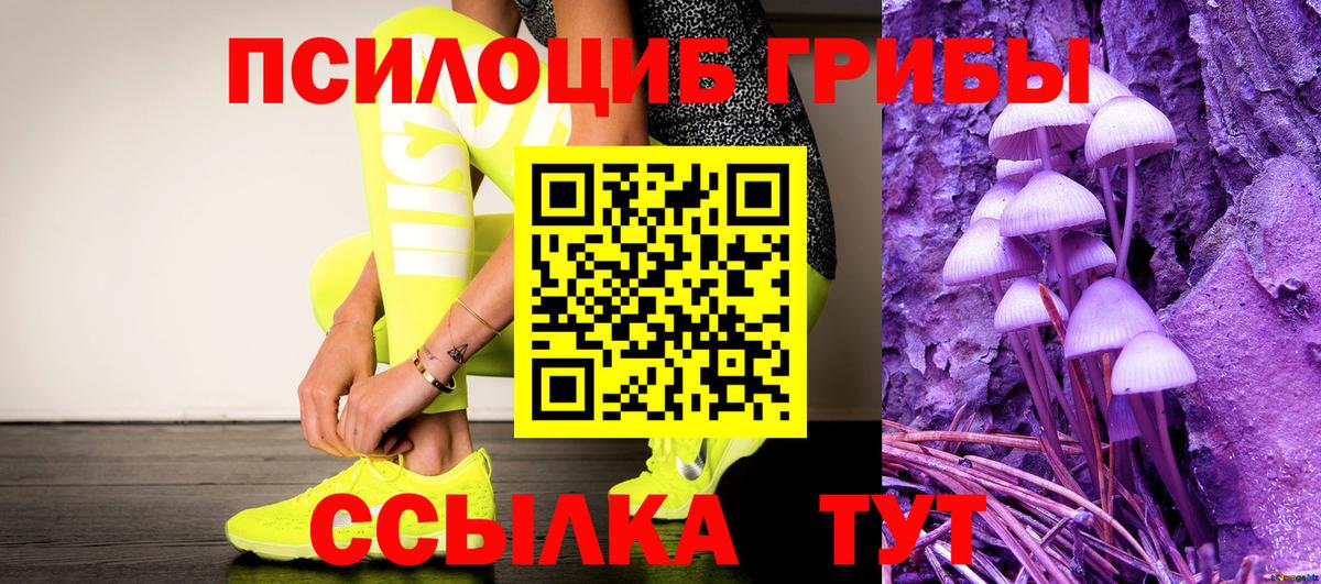 Галлюциногенные грибы Magic Shrooms  даркнет сайт  Вологда  Галлюциногенные грибы Psilocybe  Вход с VPN 